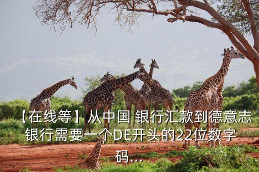 【在線等】從中國 銀行匯款到德意志 銀行需要一個(gè)DE開頭的22位數(shù)字碼...