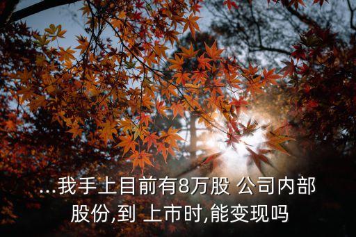...我手上目前有8萬股 公司內部 股份,到 上市時,能變現嗎