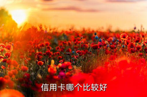  信用卡哪個(gè)比較好