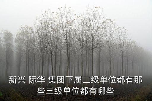 新興 際華 集團下屬二級單位都有那些三級單位都有哪些