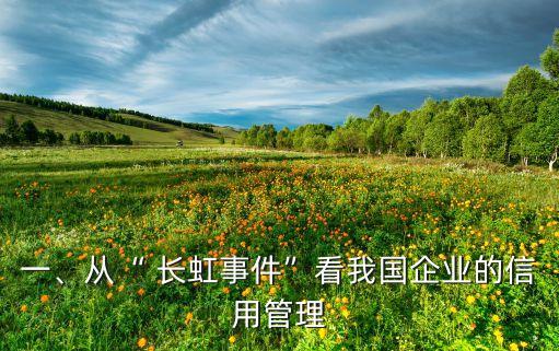 一、從“ 長虹事件”看我國企業(yè)的信用管理