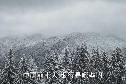 中國(guó)前十大 銀行是哪些呀