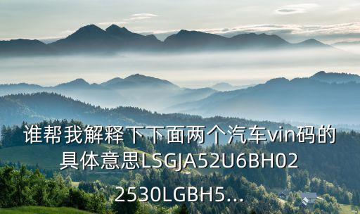 誰(shuí)幫我解釋下下面兩個(gè)汽車(chē)vin碼的具體意思LSGJA52U6BH022530LGBH5...