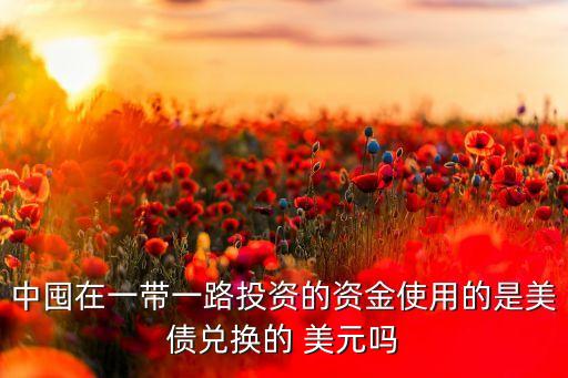 中囤在一帶一路投資的資金使用的是美債兌換的 美元嗎