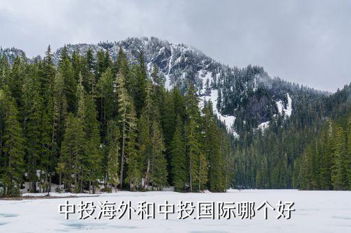 北京國(guó)投匯金,淄博國(guó)投為什么買匯金科技
