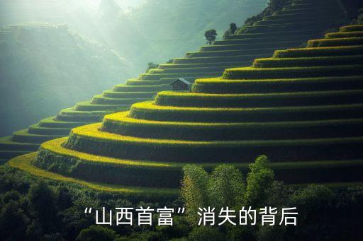 金鵬輝人民銀行辦公廳,人民銀行上海總部金鵬飛簡介