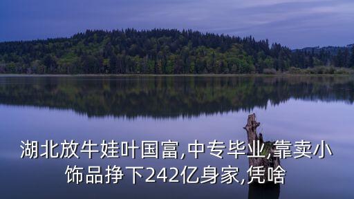 湖北放牛娃葉國(guó)富,中專畢業(yè),靠賣小飾品掙下242億身家,憑啥
