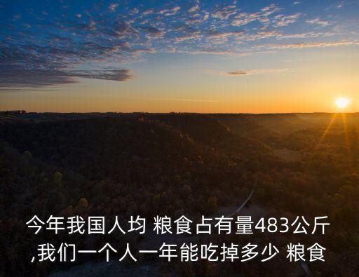 今年我國人均 糧食占有量483公斤,我們一個人一年能吃掉多少 糧食