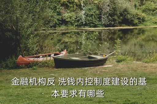  金融機(jī)構(gòu)反 洗錢內(nèi)控制度建設(shè)的基本要求有哪些