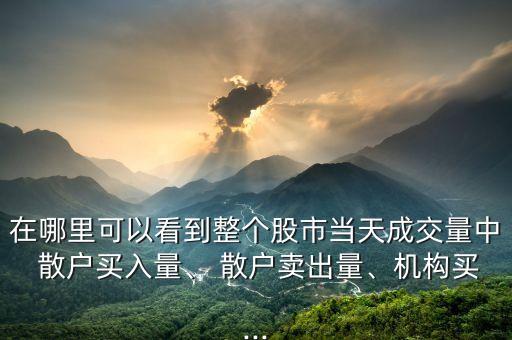 在哪里可以看到整個股市當(dāng)天成交量中 散戶買入量、 散戶賣出量、機(jī)構(gòu)買...