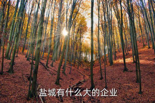 鹽城宏大集團徐守清,鹽城徐守清兄弟幾個兒子