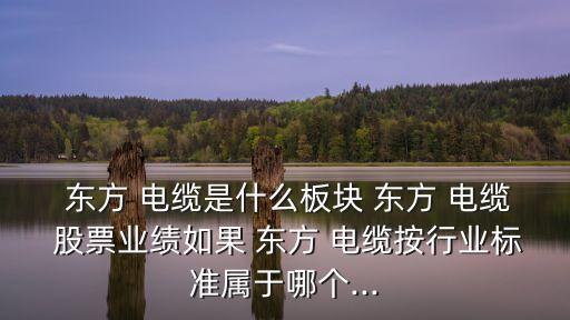  東方 電纜是什么板塊 東方 電纜 股票業(yè)績如果 東方 電纜按行業(yè)標準屬于哪個...