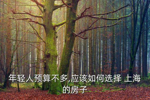 小白領(lǐng)白領(lǐng)在上?？赡苜I房嗎