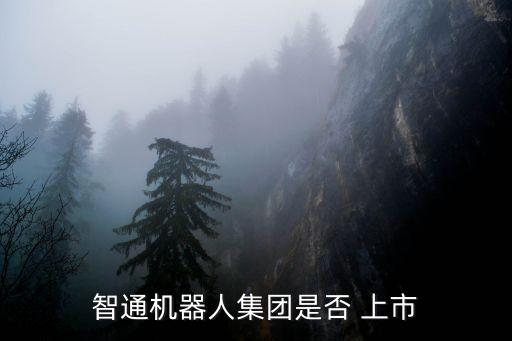 智通機(jī)器人集團(tuán)是否 上市
