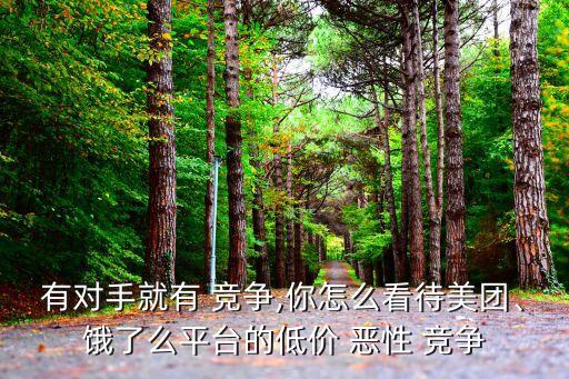 有對手就有 競爭,你怎么看待美團、餓了么平臺的低價 惡性 競爭