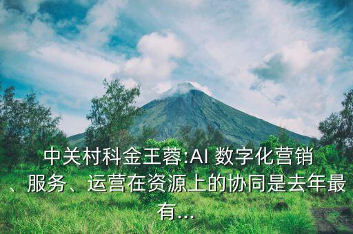  中關(guān)村科金王蓉:AI 數(shù)字化營銷、服務(wù)、運營在資源上的協(xié)同是去年最有...