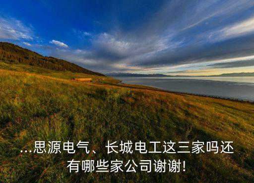 ...思源電氣、長(zhǎng)城電工這三家嗎還有哪些家公司謝謝!