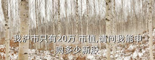 我滬市只有20萬(wàn) 市值,請(qǐng)問(wèn)我能申購(gòu)多少新股
