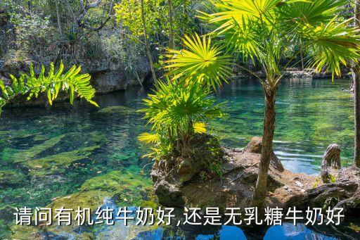 請(qǐng)問有機(jī)純牛奶好,還是無乳糖牛奶好