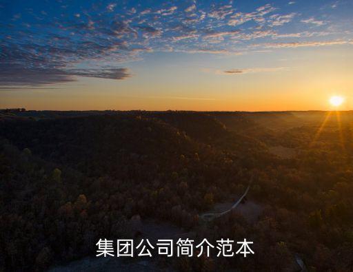集團(tuán)公司簡介范本