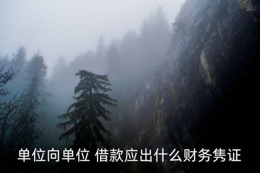 單位向單位 借款應出什么財務雋證