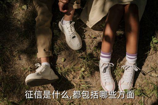 中國個(gè)人征信體系,我國的個(gè)人征信體系建設(shè)始于