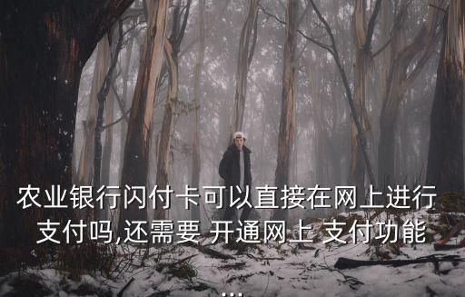 農(nóng)業(yè)銀行閃付卡可以直接在網(wǎng)上進(jìn)行 支付嗎,還需要 開通網(wǎng)上 支付功能...