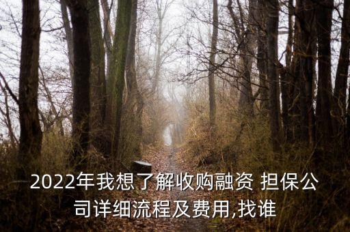 2022年我想了解收購融資 擔(dān)保公司詳細(xì)流程及費(fèi)用,找誰