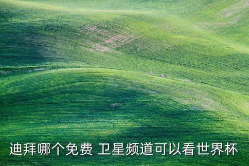 迪拜哪個免費 衛(wèi)星頻道可以看世界杯