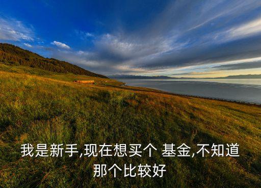 660005基金凈值相關(guān)推薦,農(nóng)行中小盤660005混合基金凈值今天