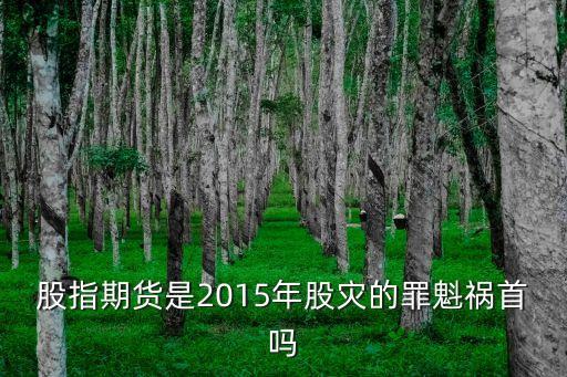 2015年投資風(fēng)險(xiǎn)