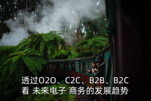 透過O2O、C2C、B2B、B2C看 未來電子 商務(wù)的發(fā)展趨勢
