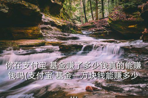 你在支付寶 基金賺了多少錢真的能賺錢嗎(支付寶 基金一萬(wàn)塊錢能賺多少...