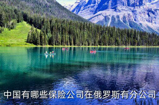 中國(guó)有哪些保險(xiǎn)公司在俄羅斯有分公司