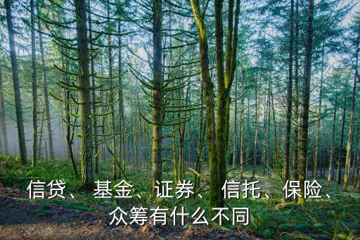信貸、 基金、證券、 信托、保險(xiǎn)、眾籌有什么不同