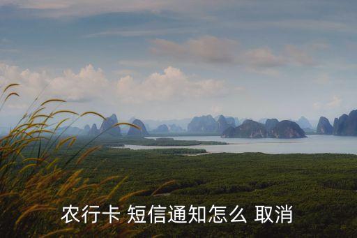 農業(yè)銀行短信服務取消