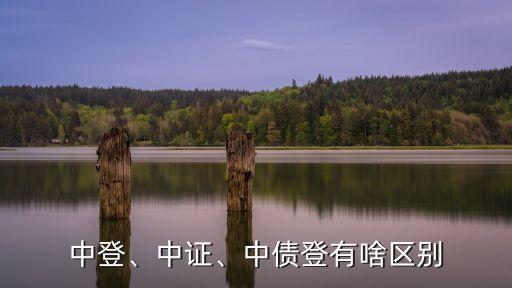 中登、中證、中債登有啥區(qū)別