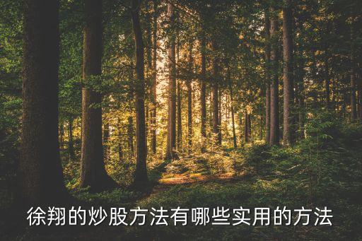徐翔的炒股方法有哪些實(shí)用的方法
