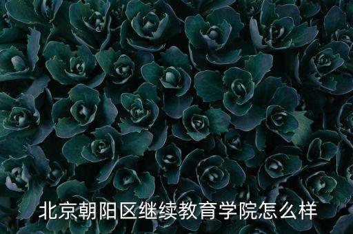  北京朝陽區(qū)繼續(xù)教育學院怎么樣