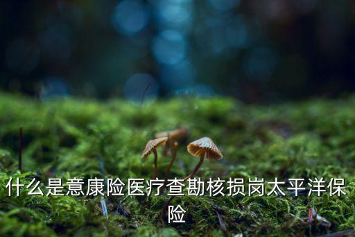 中國(guó)太?；A(chǔ)設(shè)施債權(quán),基礎(chǔ)設(shè)施債權(quán)計(jì)劃
