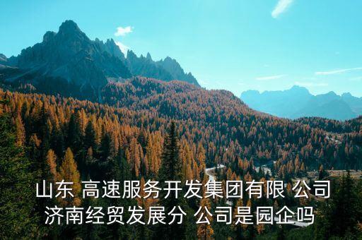  山東 高速服務(wù)開(kāi)發(fā)集團(tuán)有限 公司濟(jì)南經(jīng)貿(mào)發(fā)展分 公司是園企嗎