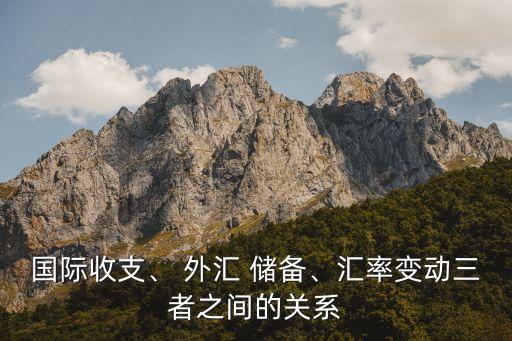 國(guó)際收支、 外匯 儲(chǔ)備、匯率變動(dòng)三者之間的關(guān)系