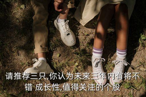 請(qǐng)推薦三只,你認(rèn)為未來(lái)三年內(nèi)有將不錯(cuò) 成長(zhǎng)性,值得關(guān)注的個(gè)股