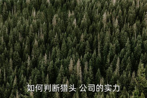 如何判斷獵頭 公司的實力