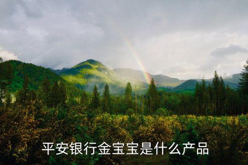  平安銀行金寶寶是什么產品