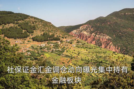 全國社?；?01組合,社?；?01組合最新持股