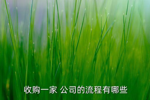  收購(gòu)一家 公司的流程有哪些