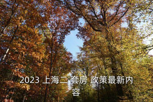 2023 上海二 套房 政策最新內容