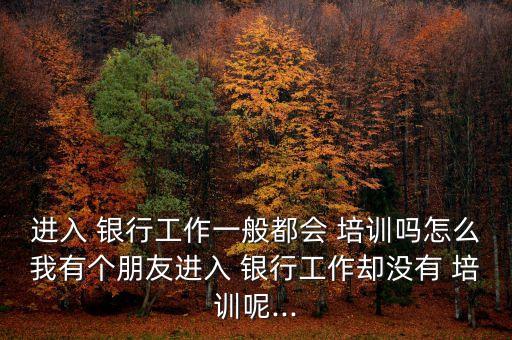 進(jìn)入 銀行工作一般都會 培訓(xùn)嗎怎么我有個(gè)朋友進(jìn)入 銀行工作卻沒有 培訓(xùn)呢...