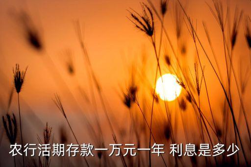 農(nóng)行活期存款一萬(wàn)元一年 利息是多少